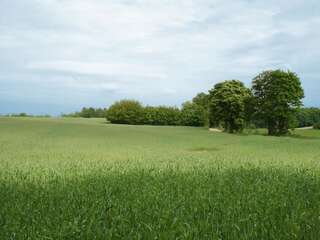 Дома для отпуска Holiday Home Leśne Echo Lisewiec Дом для отпуска-17